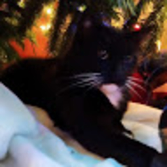 Give me a blank canvas and see what I can do! - Picture 3 of 3